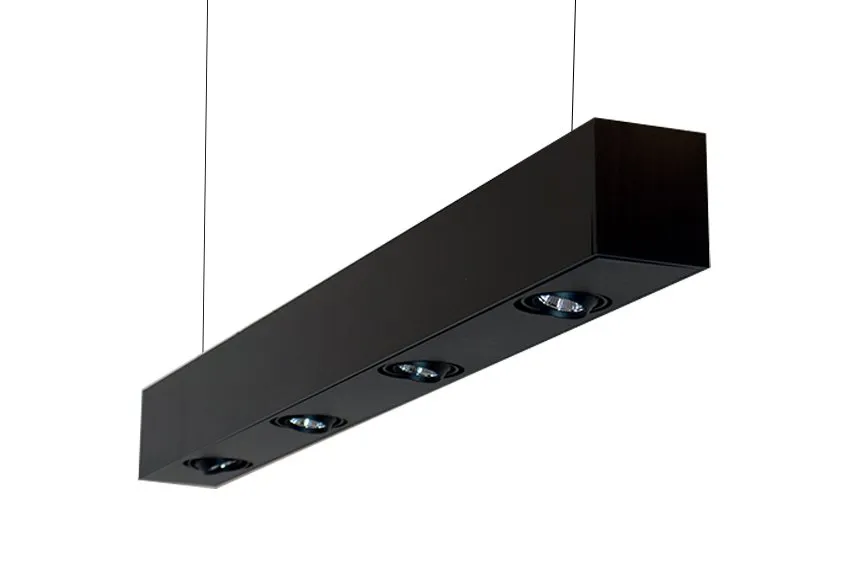 Vario Downlight — Pendant by Picasso Lighting